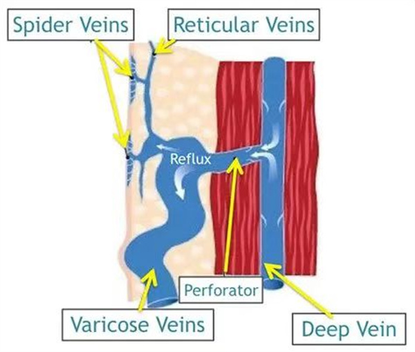 微信图片_20241202161639.jpg 微信图片_20241202161639.jpg