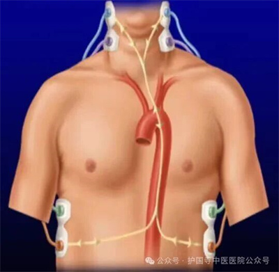 微信图片_2026-08-20_140020_687.jpg 微信图片_2026-08-20_140020_687.jpg