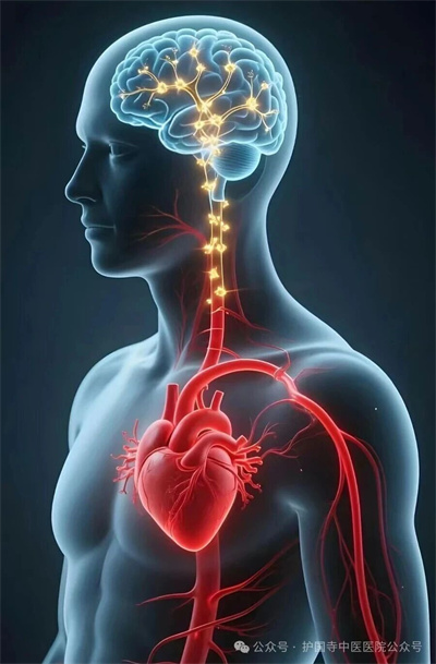 微信图片_2026-08-20_140025_281.jpg 微信图片_2026-08-20_140025_281.jpg